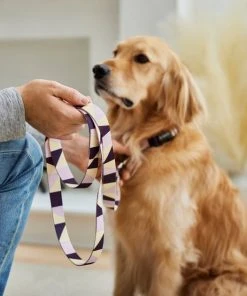 Frisco Purple Colorblock Dog Collar 9 Frisco Purple Colorblock Dog Collar -Frisco Sales 2024 291282 PT3. SY630 V1629488015