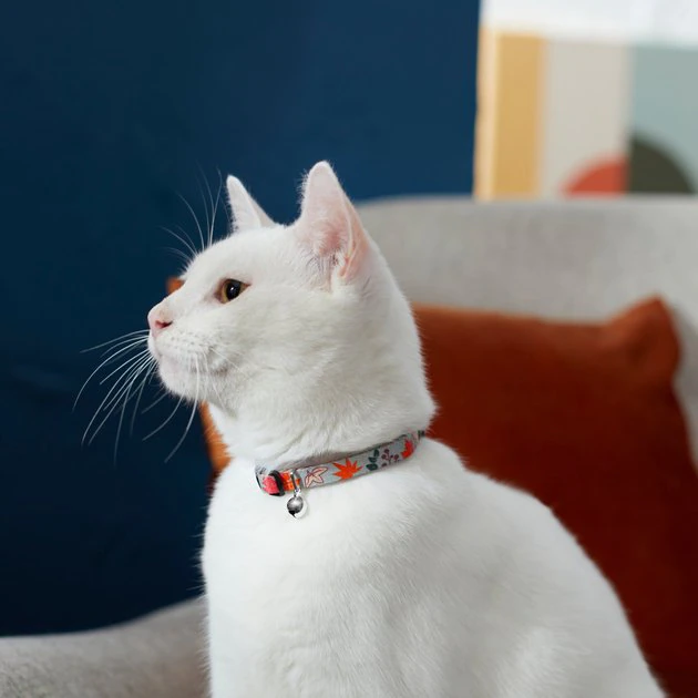 Frisco Mountain Leaves Cat Collar, 8-12 Inches, 3/8-in wide 5 Frisco Mountain Leaves Cat Collar, 8-12 Inches, 3/8-in wide - Image 3