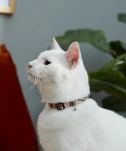 Frisco Thanksgiving Turkey Cat Collar, 8-12 Inches, 3/8-in wide 7 Frisco Thanksgiving Turkey Cat Collar, 8-12 Inches, 3/8-in wide -Frisco Sales 2024 291323 PT3. SY630 V1629771382