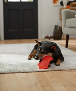 Frisco Nylon Headstone Halloween Dog Chew Toy, Peanut Butter Flavor, Medium -Frisco Sales 2024 291383 PT3. SY630 V1623179554