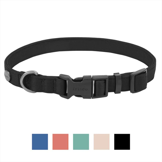 Frisco Monochromatic Dog Collar, Jet Black, XS - Neck: 8 - 12-in, Width: 5/8-in Frisco Monochromatic Dog Collar -Frisco Sales 2024 291556 MAIN. SY630 V1638456122