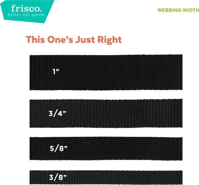 Frisco Monochromatic Dog Collar, Jet Black, XS - Neck: 8 - 12-in, Width: 5/8-in Frisco Monochromatic Dog Collar -Frisco Sales 2024 291556 PT4. SY630 V1635791188