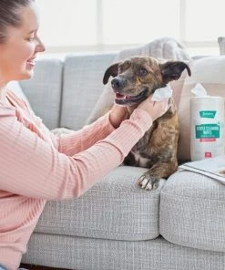 Frisco Gentle Cleaning Waterless Grooming Wipes for Puppies & Kittens, Green Tea Scent -Frisco Sales 2024 291592 PT4. SY630 V1627306695