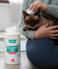 Frisco Gentle Cleaning Waterless Grooming Wipes for Puppies & Kittens, Green Tea Scent -Frisco Sales 2024 291592 PT5. SY630 V1627306905
