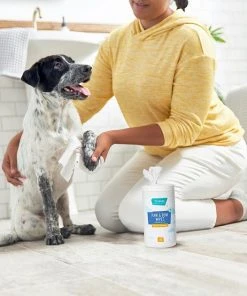 Frisco Deodorizing Paw & Bum Waterless Grooming Wipes for Dogs & Cats 12 Frisco Deodorizing Paw & Bum Waterless Grooming Wipes for Dogs & Cats -Frisco Sales 2024 291593 PT4. SY630 V1627654025
