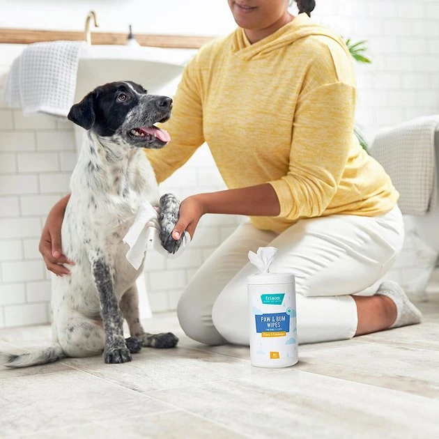 Frisco Deodorizing Paw & Bum Waterless Grooming Wipes for Dogs & Cats 7 Frisco Deodorizing Paw & Bum Waterless Grooming Wipes for Dogs & Cats - Image 5