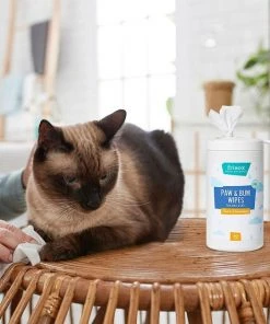 Frisco Deodorizing Paw & Bum Waterless Grooming Wipes for Dogs & Cats 13 Frisco Deodorizing Paw & Bum Waterless Grooming Wipes for Dogs & Cats -Frisco Sales 2024 291593 PT5. SY630 V1627653728