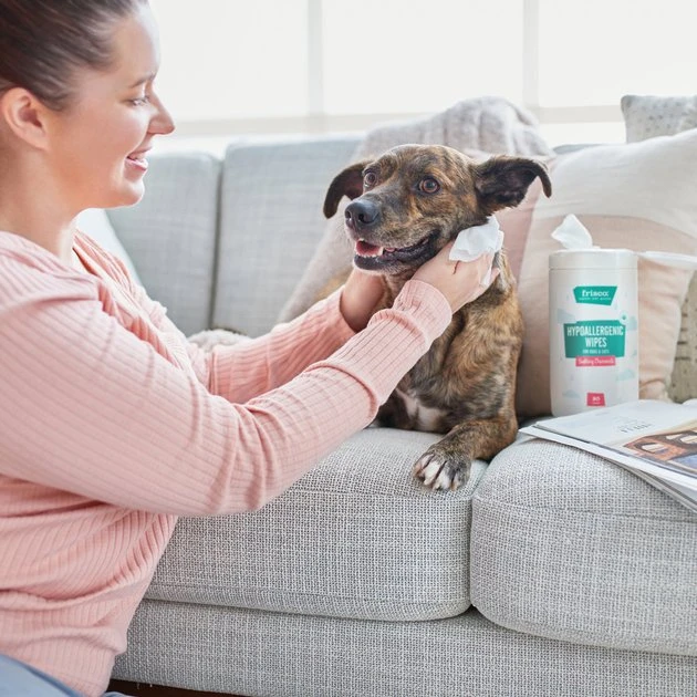 Frisco Hypoallergenic Waterless Grooming Wipes for Dogs & Cats, Soothing Chamomile, 80 count 7 Frisco Hypoallergenic Waterless Grooming Wipes for Dogs & Cats, Soothing Chamomile, 80 count - Image 5