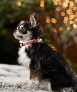 Frisco Ski Jacket Dog Collar -Frisco Sales 2024 291695 PT8. SY630 V1632187718