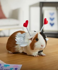 Frisco Guinea Pig Cupid Costume 11 Frisco Guinea Pig Cupid Costume -Frisco Sales 2024 292198 PT8. SY630 V1637361404