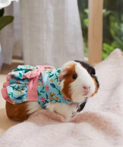 Frisco Guinea Pig Floral Dress 11 Frisco Guinea Pig Floral Dress -Frisco Sales 2024 292200 PT4. SY630 V1641540431