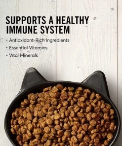 American Journey||Frisco American Journey Turkey & Chicken Recipe Grain-Free Dry Food + Frisco Cat Tracks Butterfly Cat Toy 11 American Journey||Frisco American Journey Turkey & Chicken Recipe Grain-Free Dry Food + Frisco Cat Tracks Butterfly Cat Toy -Frisco Sales 2024 292648 PT3. SY630 V1619999228
