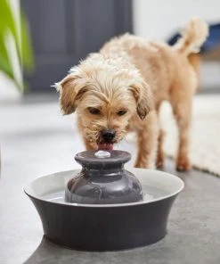 Frisco Ceramic Dog & Cat Fountain, Gray, 64-oz 11 Frisco Ceramic Dog & Cat Fountain, Gray, 64-oz -Frisco Sales 2024 297218 PT4. SY630 V1633549585