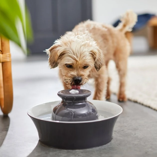 Frisco Ceramic Dog & Cat Fountain, Gray, 64-oz 7 Frisco Ceramic Dog & Cat Fountain, Gray, 64-oz - Image 5