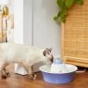 Frisco Ceramic Whale Dog & Cat Water Fountain, Blue, 64-oz 2 Frisco Ceramic Whale Dog & Cat Water Fountain, Blue, 64-oz -Frisco Sales 2024 297220 MAIN. SY630 V1633549636