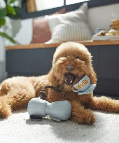 Frisco Brunch Coffee Pitcher Plush with Rope Squeaky Dog Toy 7 Frisco Brunch Coffee Pitcher Plush with Rope Squeaky Dog Toy -Frisco Sales 2024 297234 PT2. SY630 V1642088693