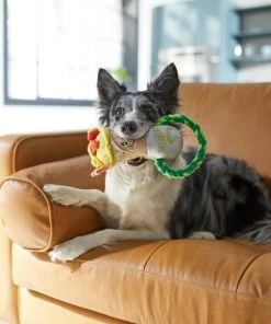 Frisco Brunch Breakfast Burrito Plush with Rope Squeaky Dog Toy -Frisco Sales 2024 297238 PT2. SY630 V1642088670