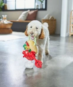Frisco Brunch Lobster Roll Plush with Rope Squeaky Dog Toy -Frisco Sales 2024 297240 PT2. SY630 V1642088431