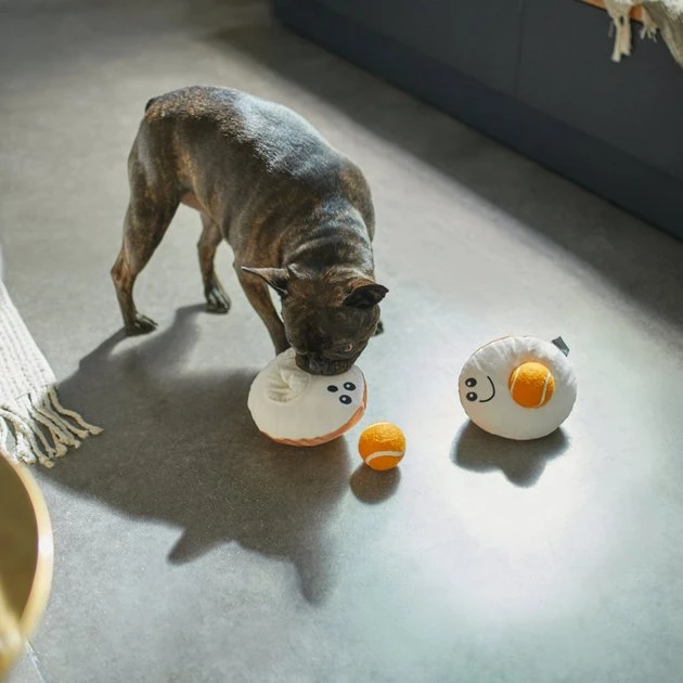 Frisco Brunch Egg in Hole 2-in-1 Plush with Tennis Ball Dog Toy 5 Frisco Brunch Egg in Hole 2-in-1 Plush with Tennis Ball Dog Toy - Image 3