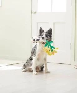 Frisco Brunch Flowers Plush Squeaky Dog Toy -Frisco Sales 2024 297270 PT2. SY630 V1642088292