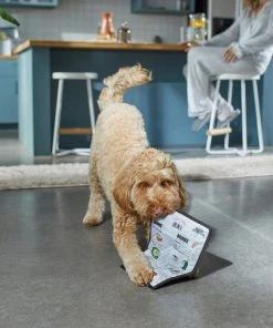 Frisco Brunch Menu Ballistic Nylon Flat Plush Squeaky Dog Toy -Frisco Sales 2024 297276 PT2. SY630 V1642088788