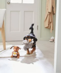 Frisco Brunch Dog & Squirrel Plush Squeaky Dog Toy, 2 count -Frisco Sales 2024 297280 PT2. SY630 V1642088192