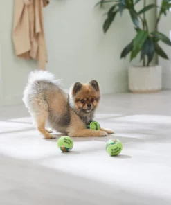 Frisco Brunch Fetch Squeaky Tennis Ball Dog Toy, 3 count -Frisco Sales 2024 297284 PT2. SY630 V1642088214