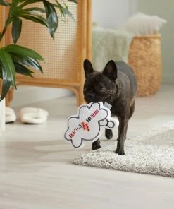 Frisco Brunch Thought Bubble Plush Squeaky Dog Toy 9 Frisco Brunch Thought Bubble Plush Squeaky Dog Toy -Frisco Sales 2024 297286 PT3. SY630 V1642087915