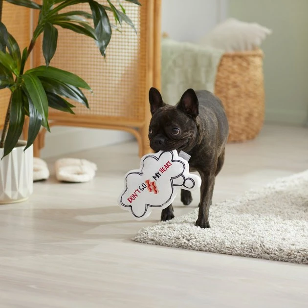 Frisco Brunch Thought Bubble Plush Squeaky Dog Toy 6 Frisco Brunch Thought Bubble Plush Squeaky Dog Toy - Image 4