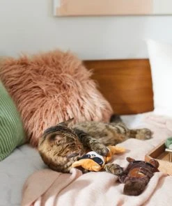 Frisco Brunch Bear & Fox Plush Cat Toy with Catnip, 2 count 7 Frisco Brunch Bear & Fox Plush Cat Toy with Catnip, 2 count -Frisco Sales 2024 297290 PT2. SY630 V1642088814