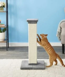 Frisco 33.5-in Sisal Cat Scratching Post, Gray + Frisco Sisal Mat, Medium -Frisco Sales 2024 297950 PT3. SY630 V1622740107