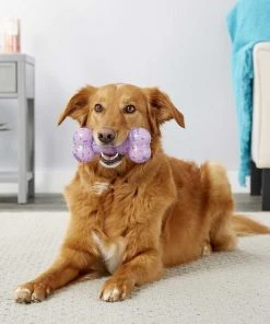 Frisco||The Lazy Dog Cookie Co. Frisco Birthday TPR Bone Dog Toy, Purple, Large + The Lazy Dog Cookie Co. Happy Birthday Pup-PIE Dog Treat, Girl -Frisco Sales 2024 297952 PT3. SY630 V1623252755