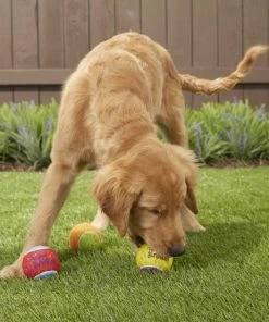 Frisco||The Lazy Dog Cookie Co. Frisco Fetch Squeaking Birthday Tennis Ball Dog Toy, 3-Pack + The Lazy Dog Cookie Co. Happy Birthday Pup-PIE Dog Treat, Boy 11 Frisco||The Lazy Dog Cookie Co. Frisco Fetch Squeaking Birthday Tennis Ball Dog Toy, 3-Pack + The Lazy Dog Cookie Co. Happy Birthday Pup-PIE Dog Treat, Boy -Frisco Sales 2024 297958 PT3. SY630 V1621303653