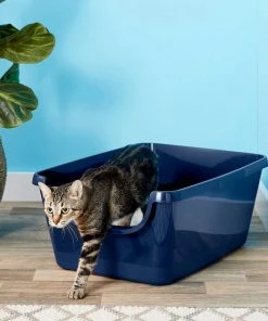 Frisco Modern Round Elevated Cat Bed + Frisco High Sided Cat Litter Box, Navy, Extra Large 24-in -Frisco Sales 2024 297988 PT5. SY630 V1621259860