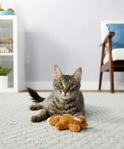 Instinct||Frisco Instinct Raw Boost Grain-Free Recipe with Real Chicken & Freeze-Dried Raw Coated Pieces Dry Cat Food, 10-lb bag + Frisco Refillable Catnip Cat Toy, Brown Squirrel -Frisco Sales 2024 298152 PT6. SY630 V1623201461