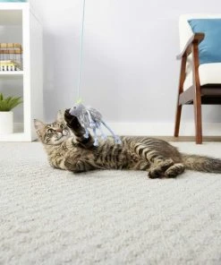 PureBites||Frisco PureBites Chicken Breast Freeze-Dried Raw Cat Treats, 2.3-oz bag + Frisco Bouncy Mouse Cat Toy, Blue -Frisco Sales 2024 298414 PT5. SY630 V1623194253