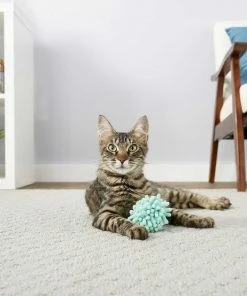 Sheba||Frisco Sheba Meaty Tender Sticks Chicken Cat Treats, 5 count + Frisco Moppy Ball Cat Toy, Blue 11 Sheba||Frisco Sheba Meaty Tender Sticks Chicken Cat Treats, 5 count + Frisco Moppy Ball Cat Toy, Blue -Frisco Sales 2024 298506 PT4. SY630 V1623197251