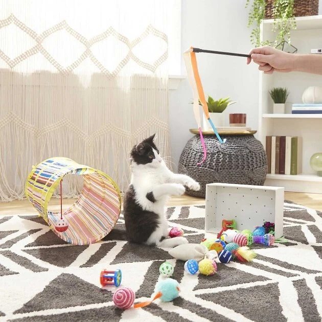 Sheba||Frisco Sheba Meaty Tender Sticks Salmon Flavored Cat Treats, 5 count + Frisco Plush, Teaser, Ball & Tunnel Variety Pack Cat Toy with Catnip, 25 count 7 Sheba||Frisco Sheba Meaty Tender Sticks Salmon Flavored Cat Treats, 5 count + Frisco Plush, Teaser, Ball & Tunnel Variety Pack Cat Toy with Catnip, 25 count - Image 5