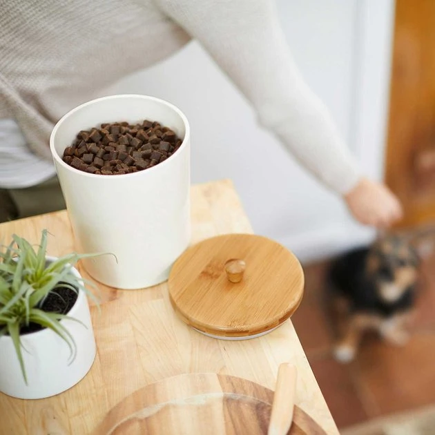 Tiny Tiger||Frisco Tiny Tiger Chicken Chompers Flavor Filled Cat Treats, 16-oz bag + Frisco Melamine Dog & Cat Treat Jar with Bamboo Lid, 8 Cups 9 Tiny Tiger||Frisco Tiny Tiger Chicken Chompers Flavor Filled Cat Treats, 16-oz bag + Frisco Melamine Dog & Cat Treat Jar with Bamboo Lid, 8 Cups - Image 7
