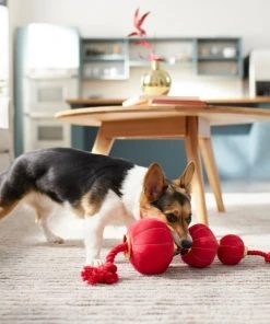 Frisco Lantern Plush with Rope Squeaky Dog Toy -Frisco Sales 2024 298885 PT3. SY630 V1640269279