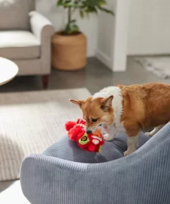 Frisco Dragon Bungee Plush Squeaky Dog Toy 7 Frisco Dragon Bungee Plush Squeaky Dog Toy -Frisco Sales 2024 298887 PT3. SY630 V1640269125