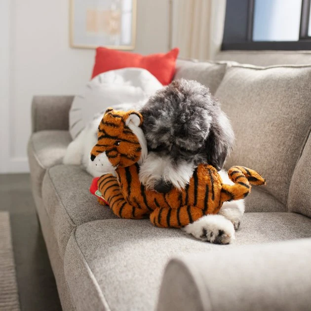 Frisco Tiger Plush Squeaky Dog Toy 5 Frisco Tiger Plush Squeaky Dog Toy - Image 3