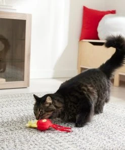 Frisco Lantern Tiger Plush Kicker Cat Toy with Catnip 7 Frisco Lantern Tiger Plush Kicker Cat Toy with Catnip -Frisco Sales 2024 298905 PT3. SY630 V1640269170