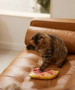 Frisco Fan Plush Squeaky Dog Toy -Frisco Sales 2024 298911 PT3. SY630 V1640269039