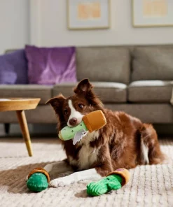 Frisco Cactus Plush Squeaky Dog Toy, 3 count -Frisco Sales 2024 298921 PT3. SY630 V1638987259