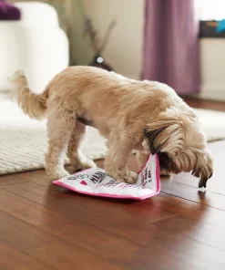 Frisco Valentine MASH Flat Plush Squeaky Dog Toy -Frisco Sales 2024 298927 PT3. SY630 V1638987702