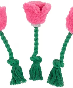 Frisco Roses Plush with Rope Squeaky Dog Toy, 3 count