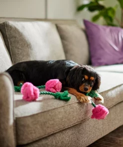 Frisco Roses Plush with Rope Squeaky Dog Toy, 3 count -Frisco Sales 2024 298939 PT3. SY630 V1638987402