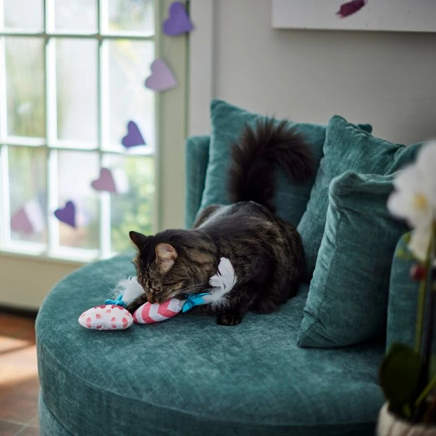 Frisco Heart Lollipops Plush Cat Toy with Catnip, 2 count 5 Frisco Heart Lollipops Plush Cat Toy with Catnip, 2 count - Image 3