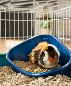 Frisco Corner Litter Box, Navy, Small + Small Animal Bedding, Lavender -Frisco Sales 2024 301908 PT3. SY630 V1644976306